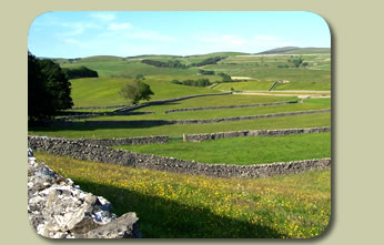 Selside Landscape